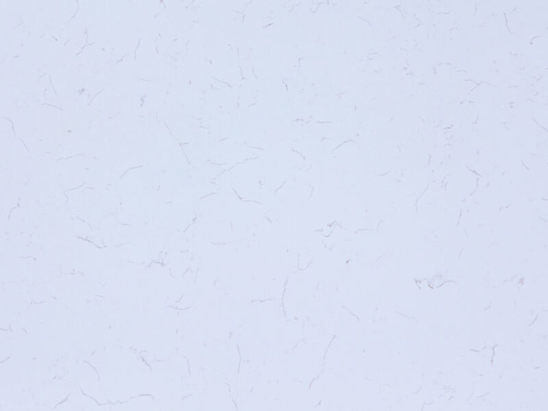 Carrara White C – 380 Quartz
