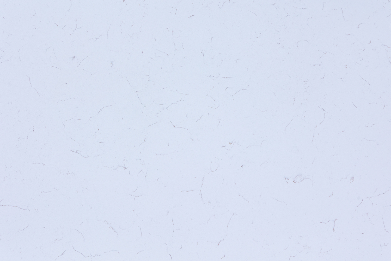 Carrara White C – 380 Quartz