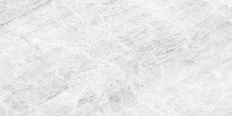 Printed Taj Mahal Grey – 380 Quartz